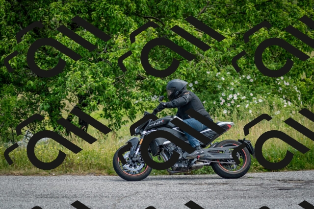 202506151202-DSC_0319_c2