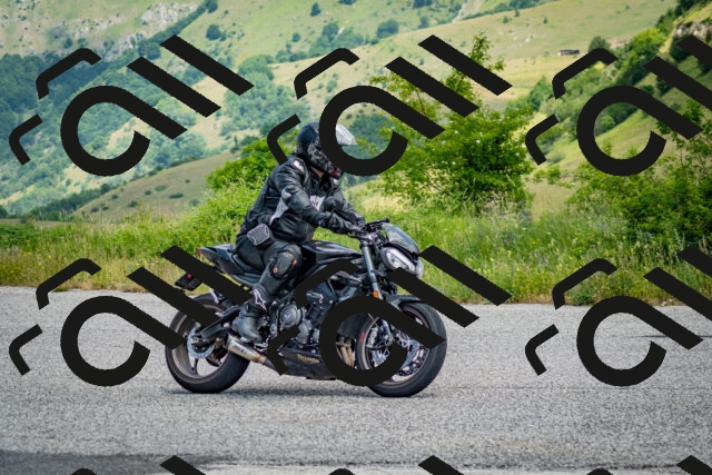 202506151203-DSC_0331_c2