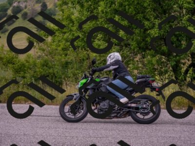 202506151302-DSC_0896_c4_