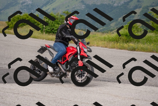 202506151403-DSC_1411_c4_