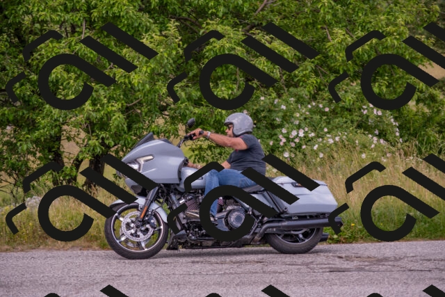 202506151403-DSC_1414_c4_