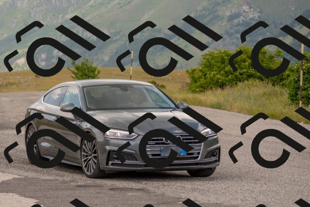 202506151406-DSC_1445_c4_