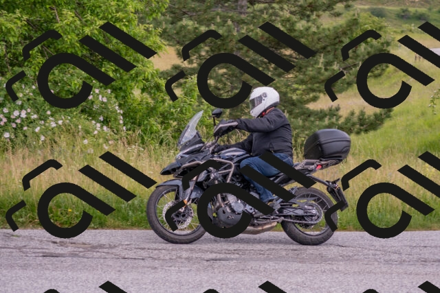 202506151408-DSC_1467_c4_