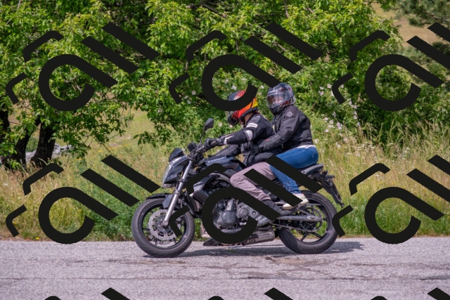 202506151520-DSC_2190_c4_