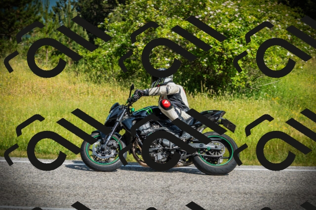 202506151006-DSC09767_c1_