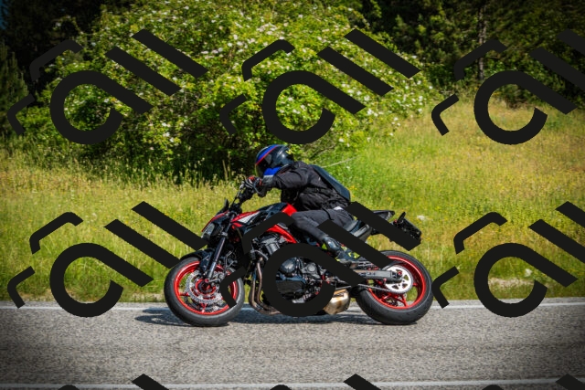 202506151009-DSC09798_c1_