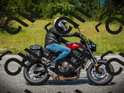 202506151234-DSC01516_c1_