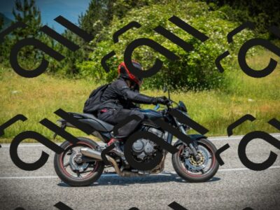 202506151240-DSC01620_c1_