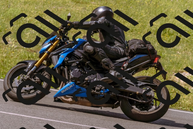 202506151037-_DSC9252_d1_