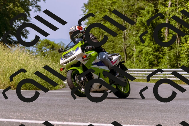 202506151042-_DSC9261_d1_