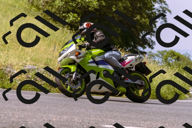 202506151042-_DSC9262_d1_