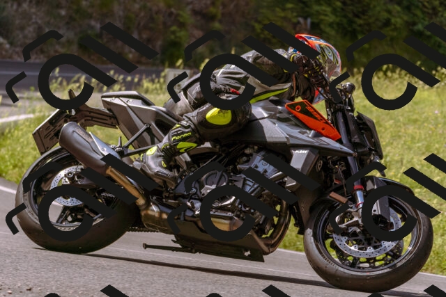 202506151044-_DSC9297_d1_