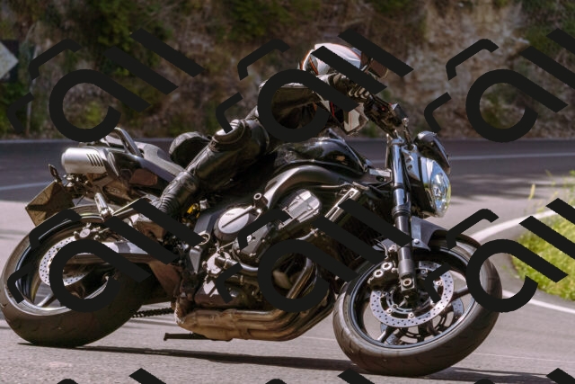 202506151046-_DSC9309_d1_