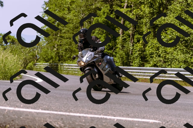 202506151048-_DSC9315_d1_