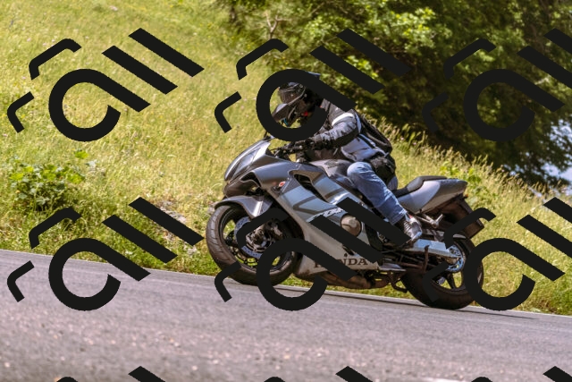 202506151048-_DSC9317_d1_