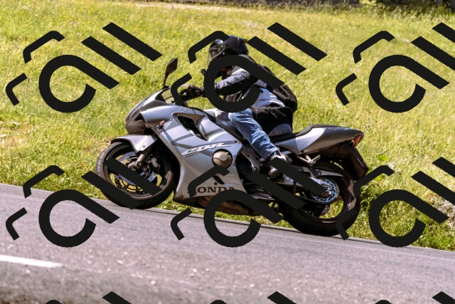 202506151048-_DSC9318_d1_