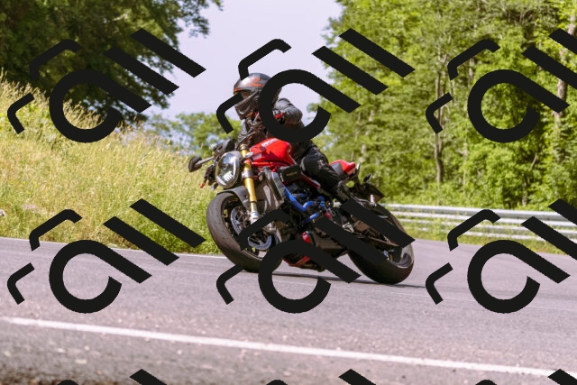 202506151051-_DSC9323_d1_