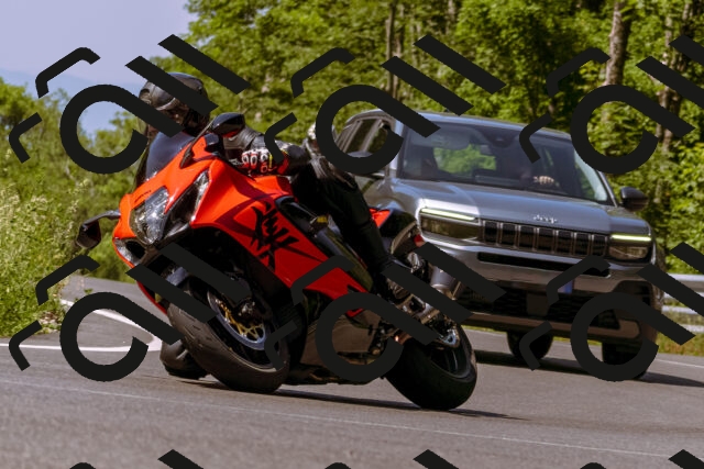 202506151052-_DSC9338_d1_