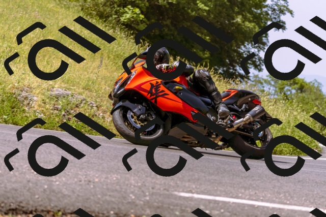 202506151052-_DSC9339_d1_