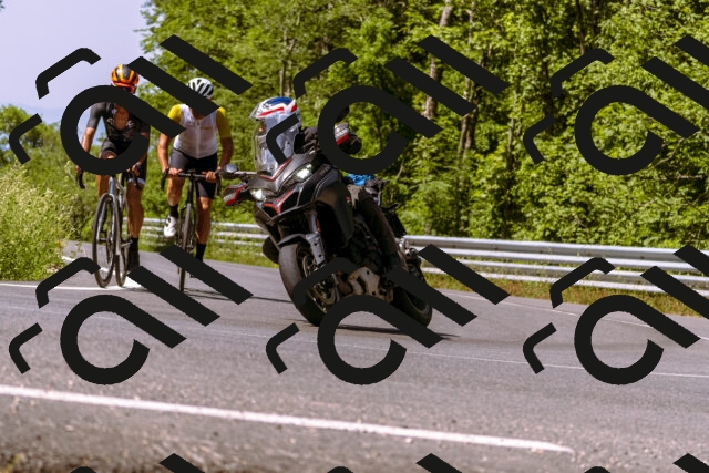 202506151052-_DSC9347_d1_