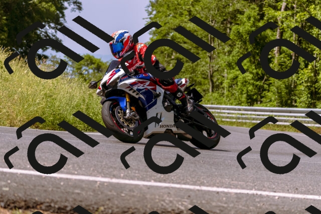 202506151052-_DSC9354_d1_