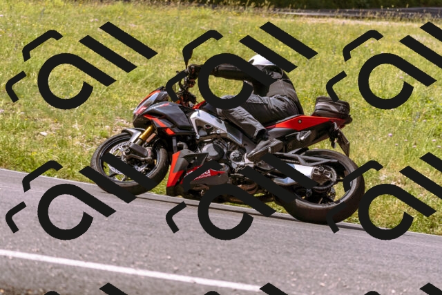 202506151053-_DSC9367_d1_