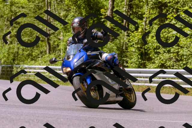 202506151056-_DSC9383_d1_