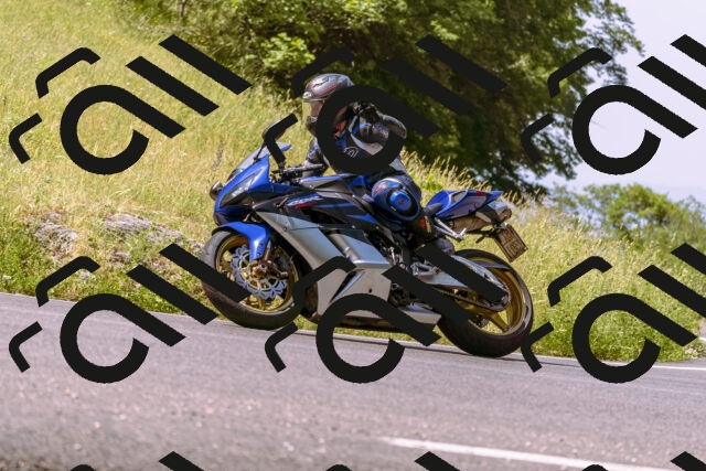 202506151056-_DSC9385_d1_