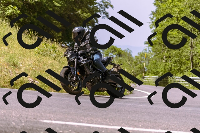 202506151057-_DSC9399_d1_