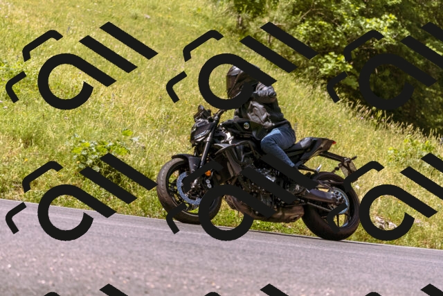 202506151057-_DSC9400_d1_