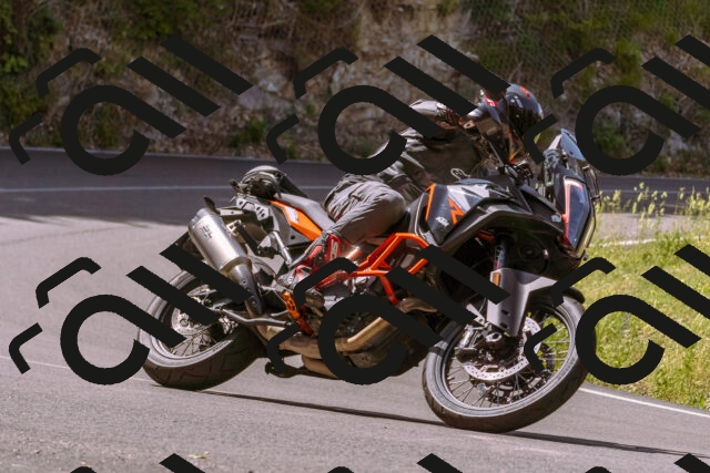 202506151058-_DSC9404_d1_