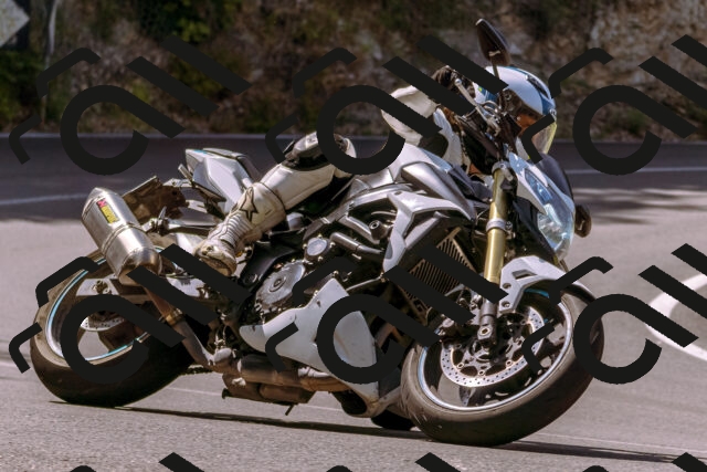 202506151059-_DSC9412_d1_