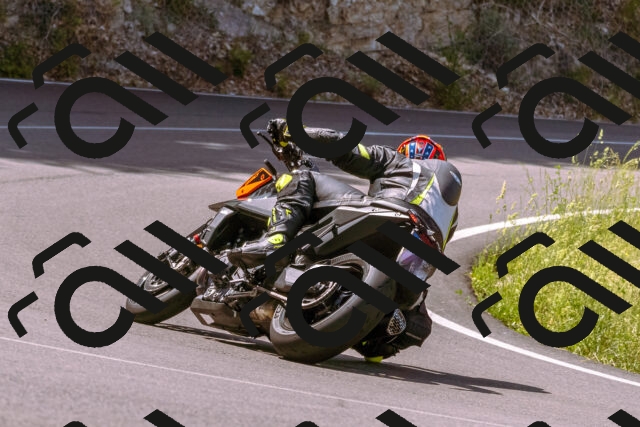 202506151100-_DSC9423_d1_