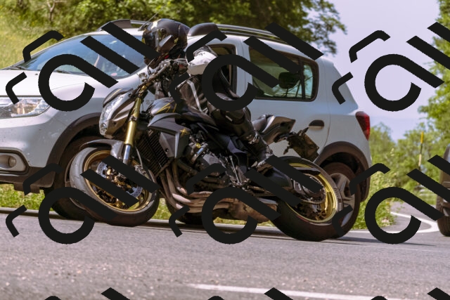 202506151100-_DSC9434_d1_