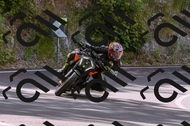 202506151100-_DSC9439_d1_