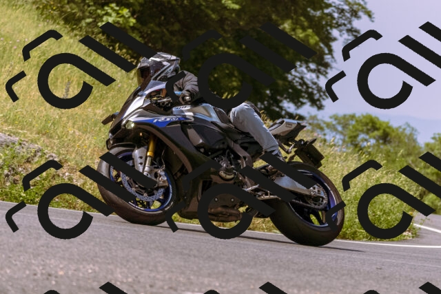 202506151101-_DSC9453_d1_