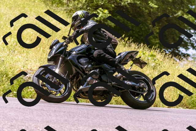 202506151106-_DSC9465_d1_