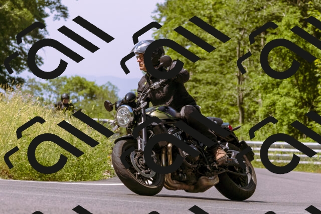 202506151109-_DSC9479_d1_