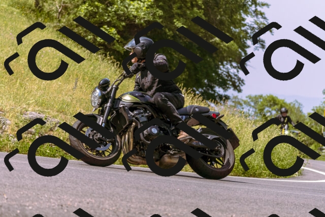 202506151109-_DSC9480_d1_