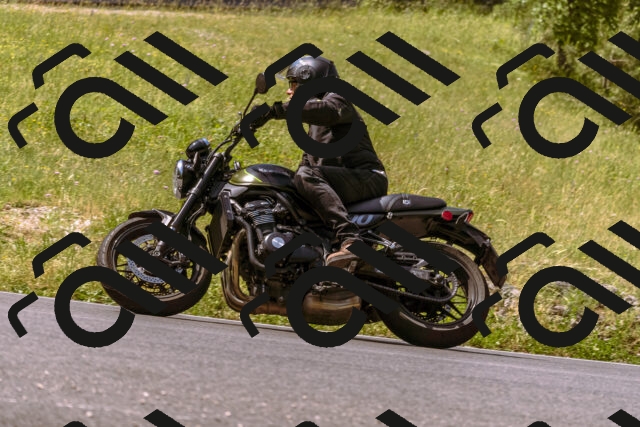 202506151109-_DSC9481_d1_