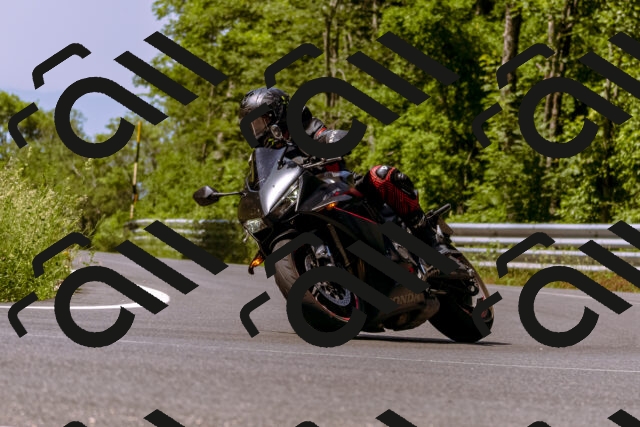 202506151110-_DSC9485_d1_