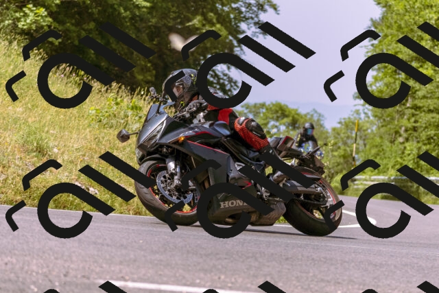 202506151110-_DSC9486_d1_