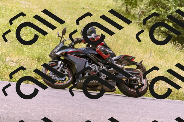 202506151110-_DSC9487_d1_