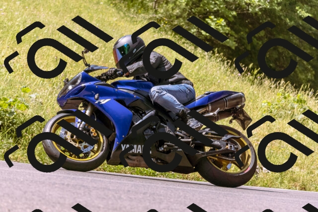 202506151110-_DSC9491_d1_