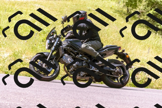 202506151111-_DSC9493_d1_