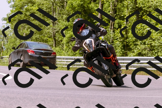 202506151113-_DSC9510_d1_