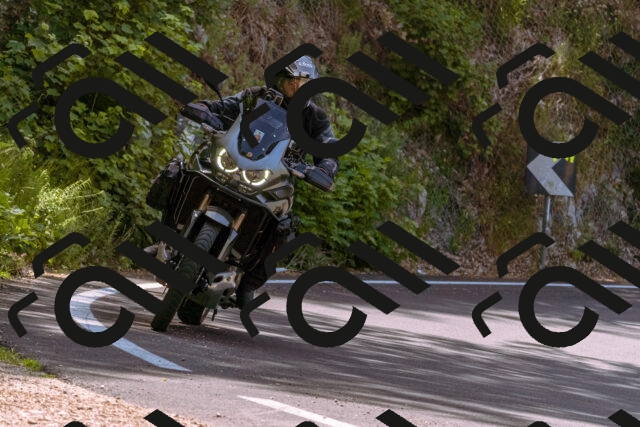 202506151114-_DSC9521_d1_