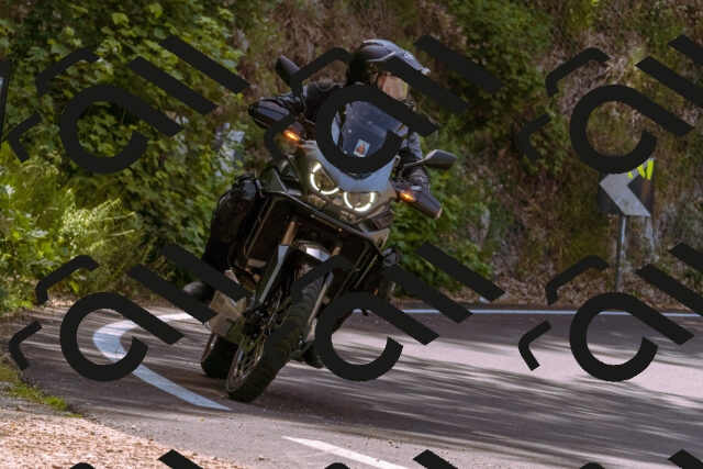 202506151114-_DSC9522_d1_