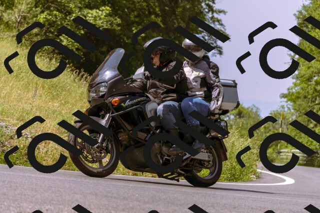 202506151114-_DSC9527_d1_