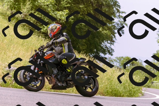 202506151114-_DSC9531_d1_